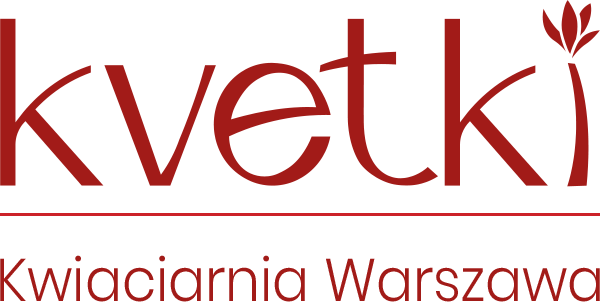 Kvetki